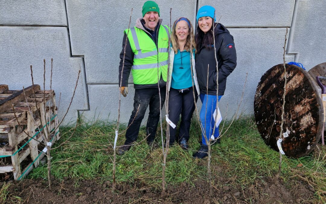 Ardmac joins “Orchards in the Community” to plant 1000 orchards across Ireland