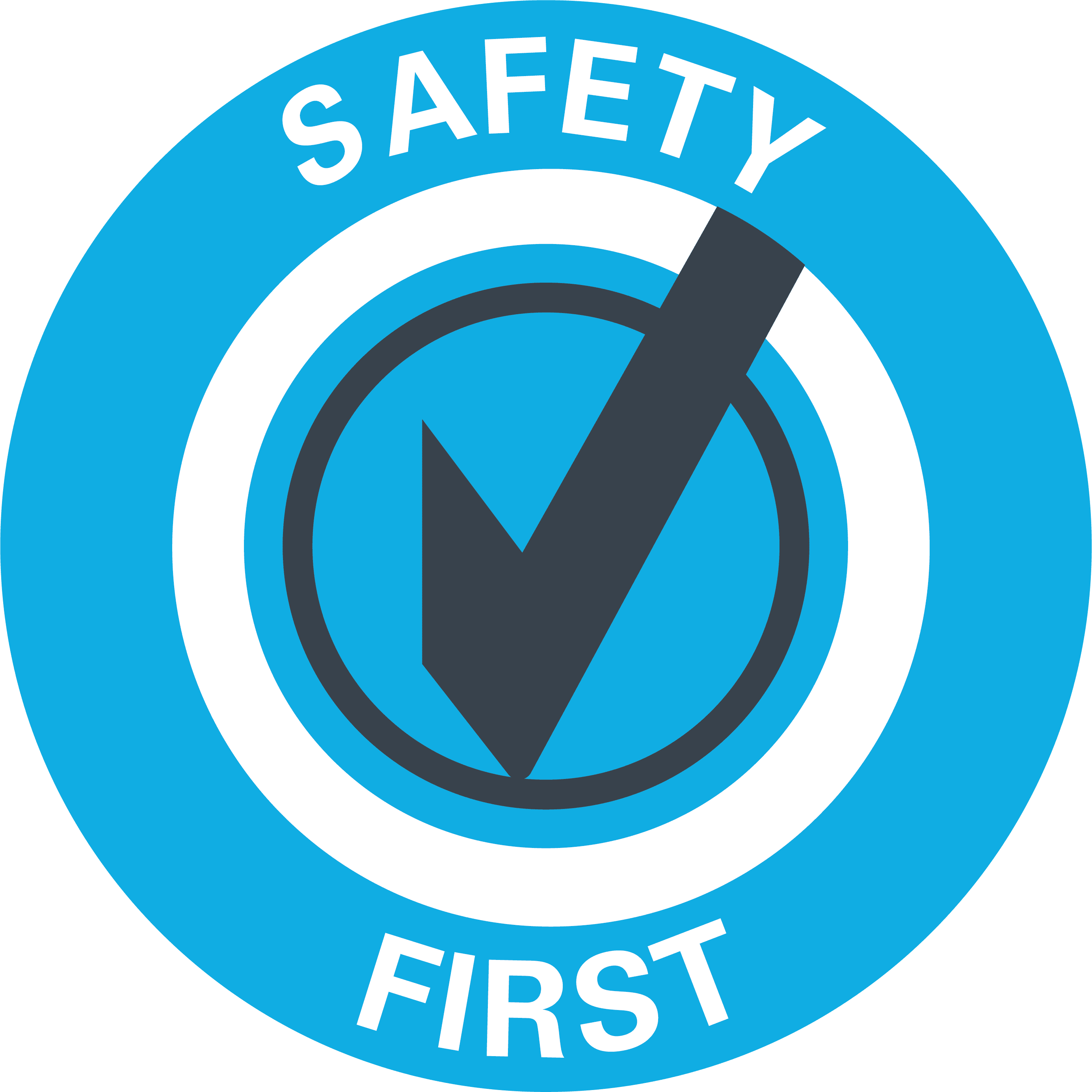 SafetyFirst-Logo-Blue